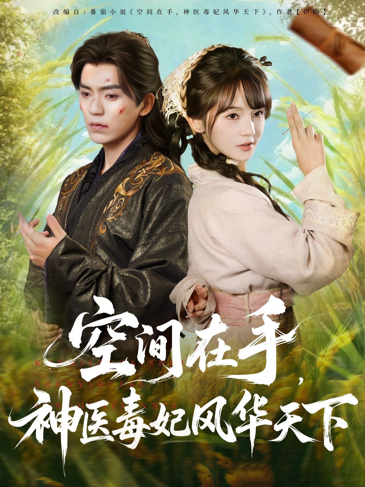 空間在手，神醫(yī)毒妃風華天下(全集)