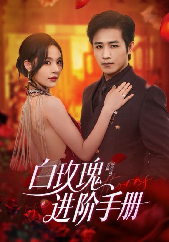 白玫瑰進階手冊(全集)