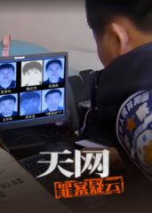 天網(wǎng)：罪案疑云(全集)