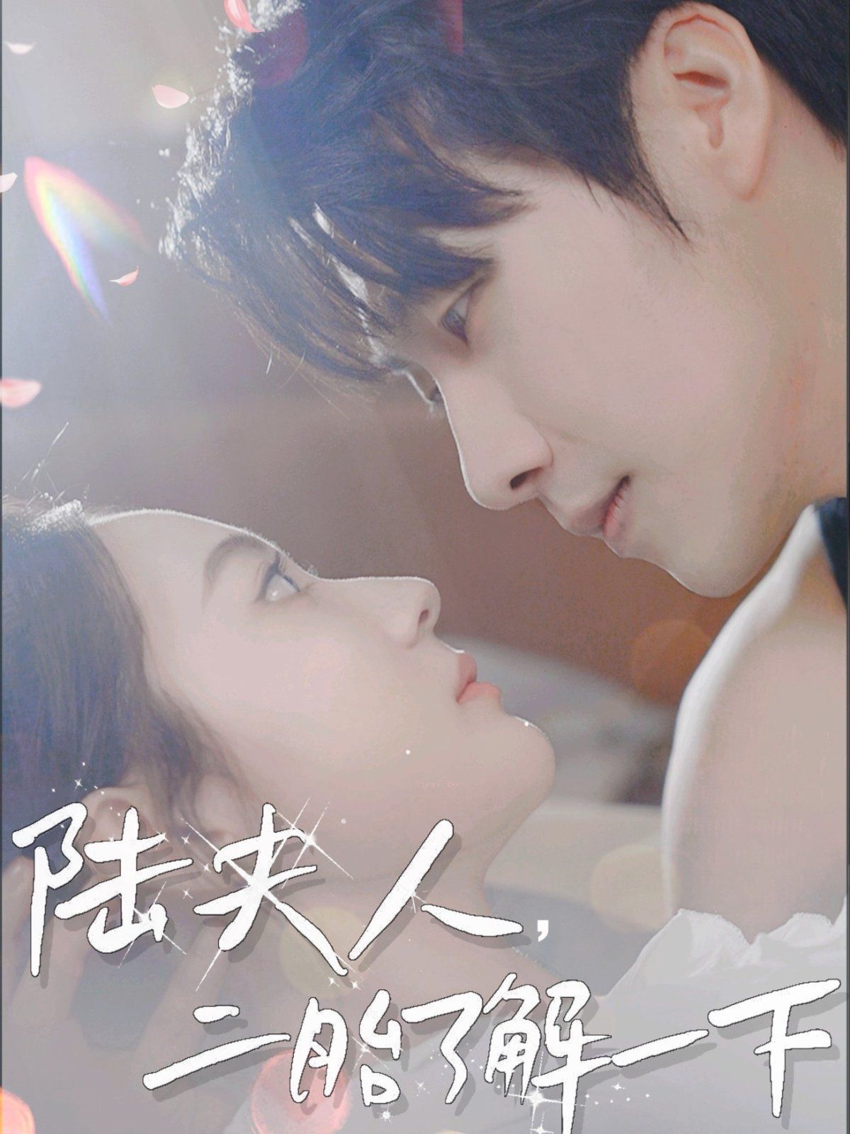 陸夫人，二胎了解一下(全集)