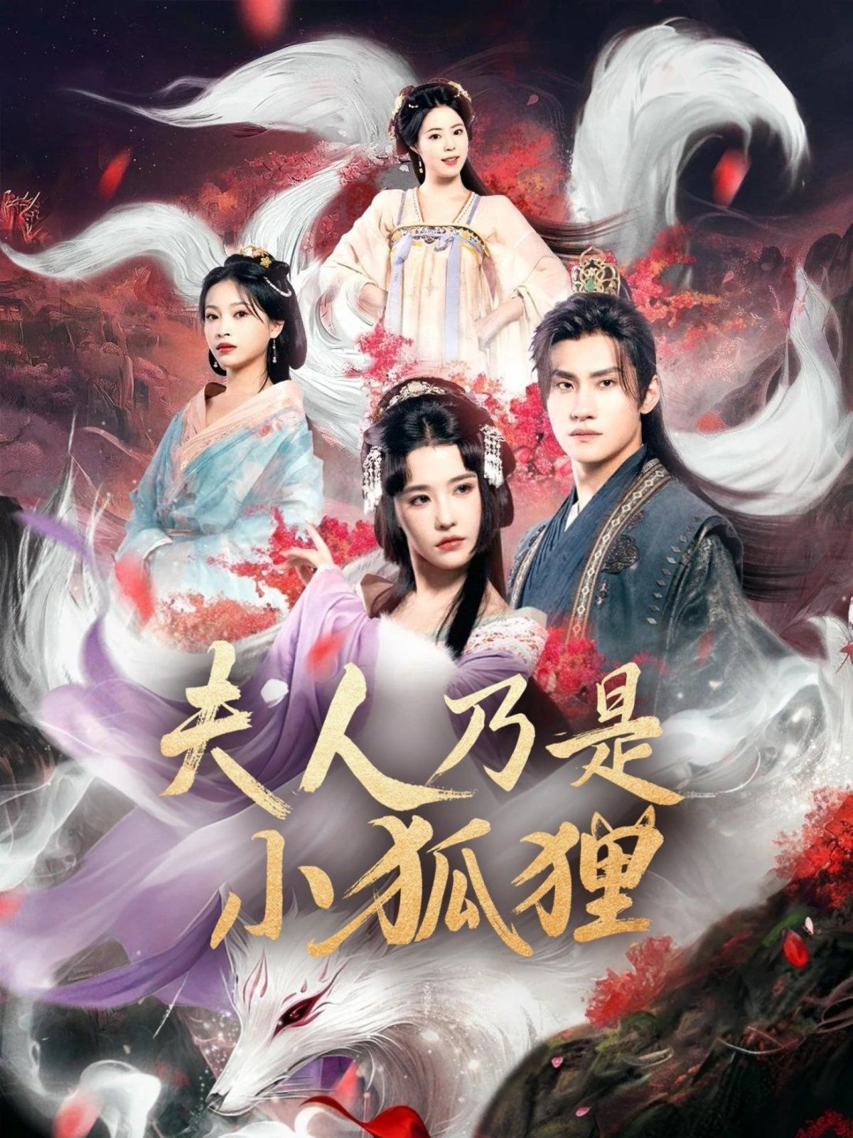 狐貍夫人今天掉馬了嗎(夫人乃是小狐貍)(全集)