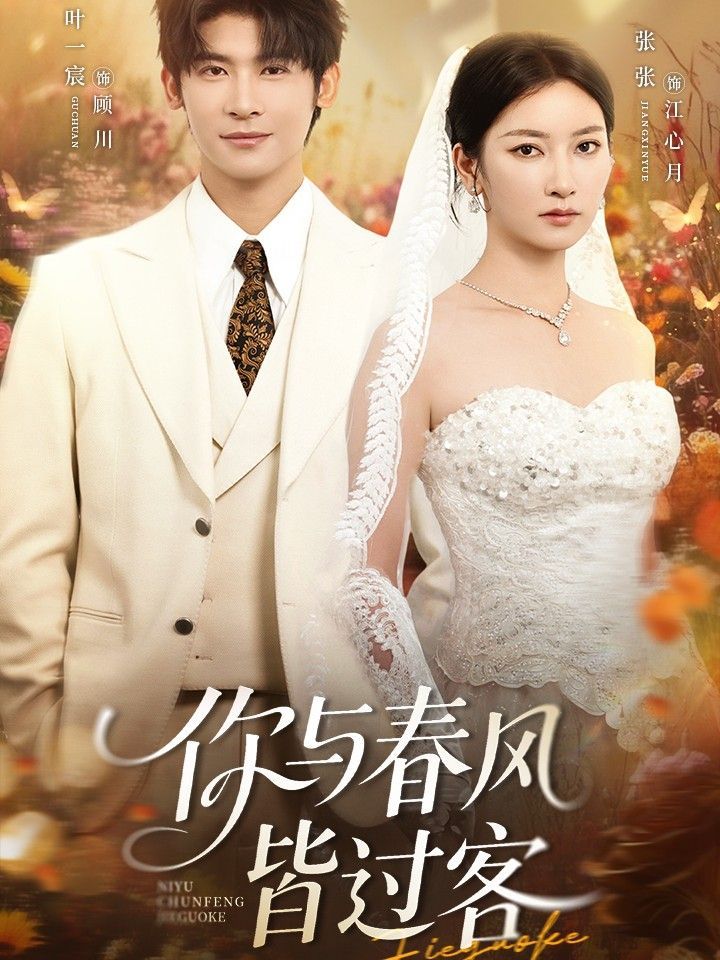 你與春風(fēng)皆過(guò)客(全集)