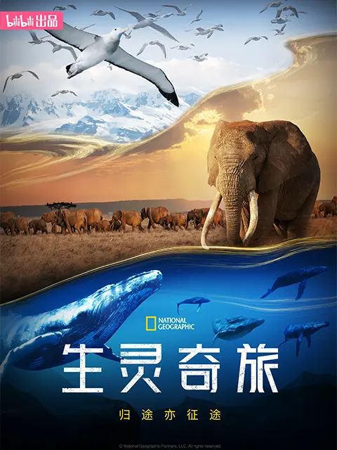 生靈奇旅(全集)