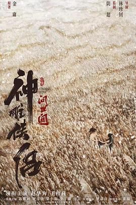神雕俠侶：?jiǎn)柺篱g(全集)