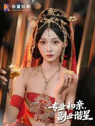 專業(yè)和親，副業(yè)諧星(全集)