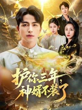 護(hù)你三年，神婿不裝了(全集)