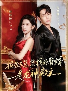 報(bào)告蘇總，您找的贊婿是龍神殿主(全集)