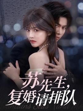 蘇先生，復婚請排隊(全集)