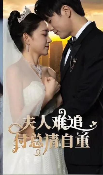 夫人難追，付總請自重(全集)