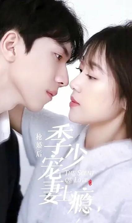 搶婚后，季少寵妻上癮(全集)