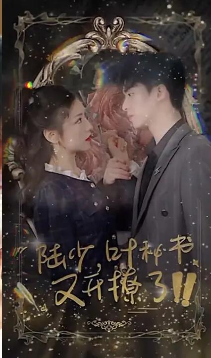 陸少，葉秘書又開撩了！(全集)